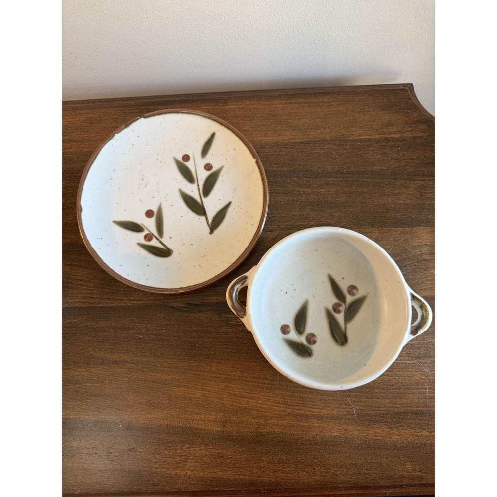 Vintage Otagiri Bittersweet MCM Stoneware Oven To Table Plate & Bowl Set Japan